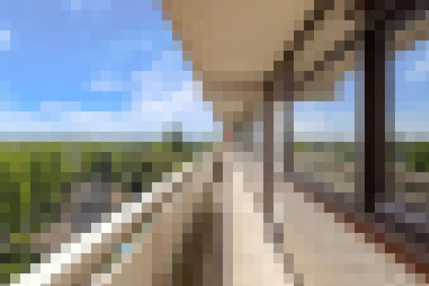 de Koppele 357 Eindhoven thumbnail 12