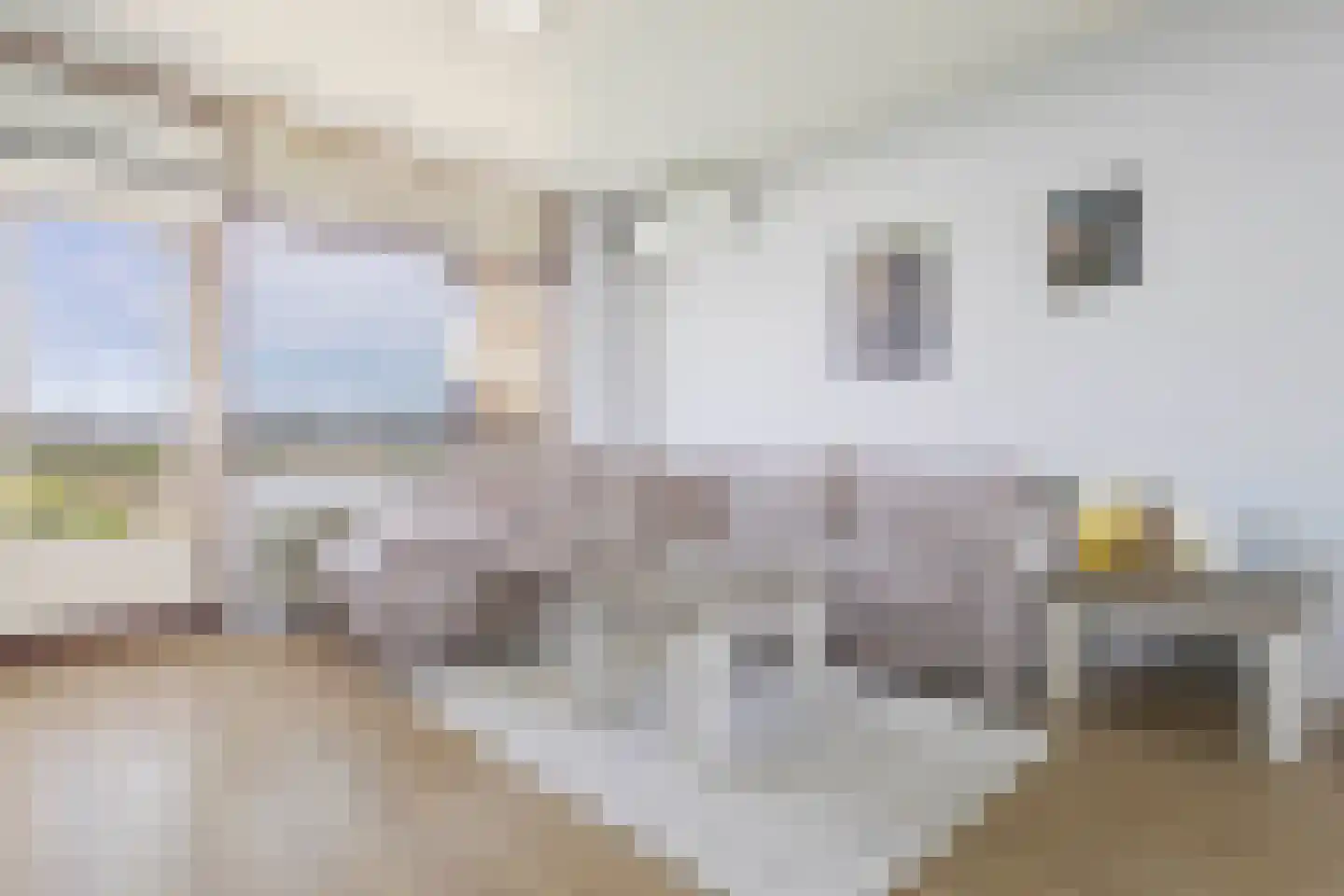 de Koppele 357 Eindhoven thumbnail 18