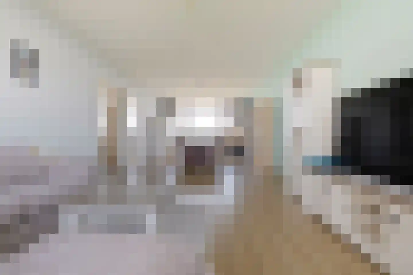 de Koppele 357 Eindhoven thumbnail 20