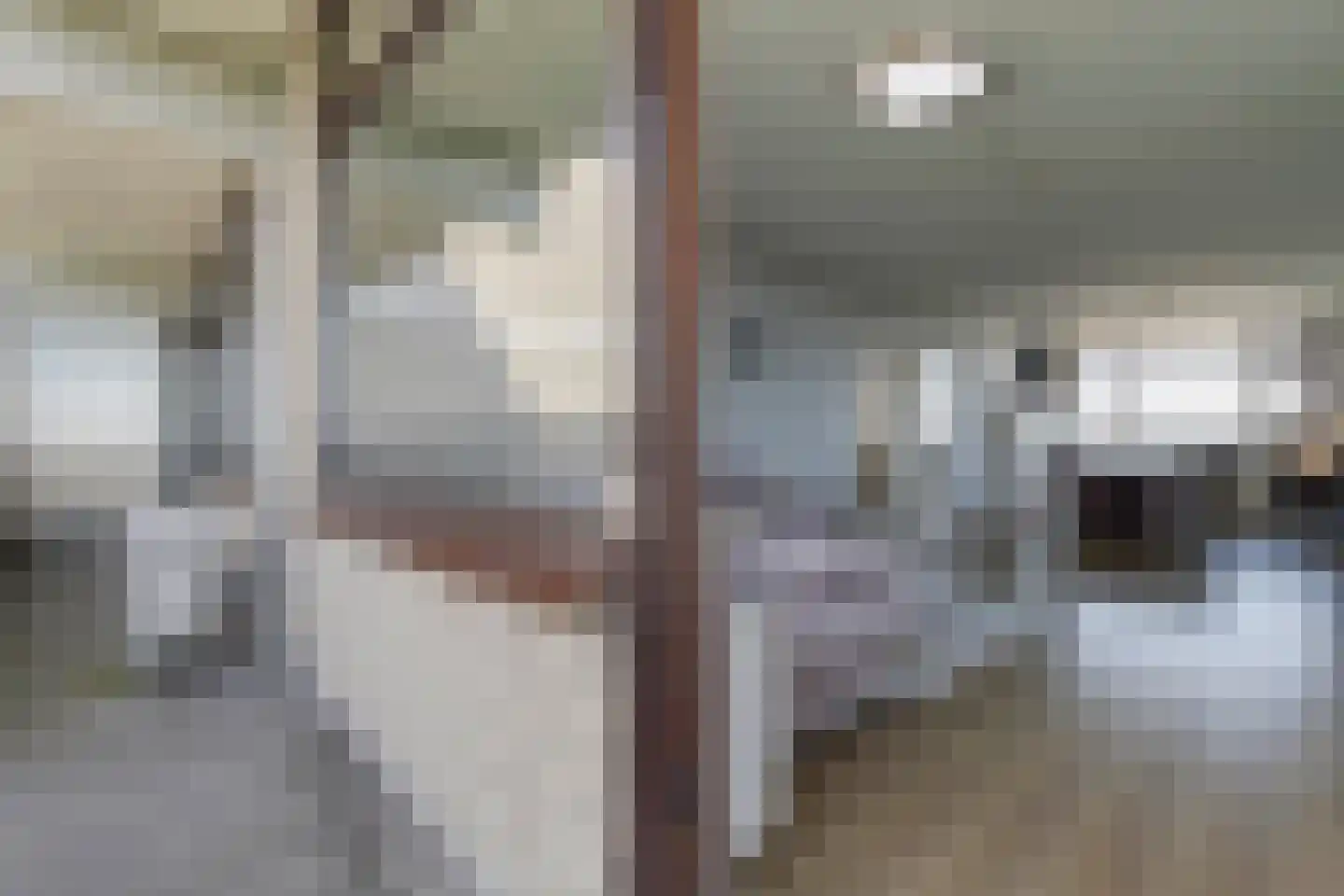 de Koppele 357 Eindhoven thumbnail 37