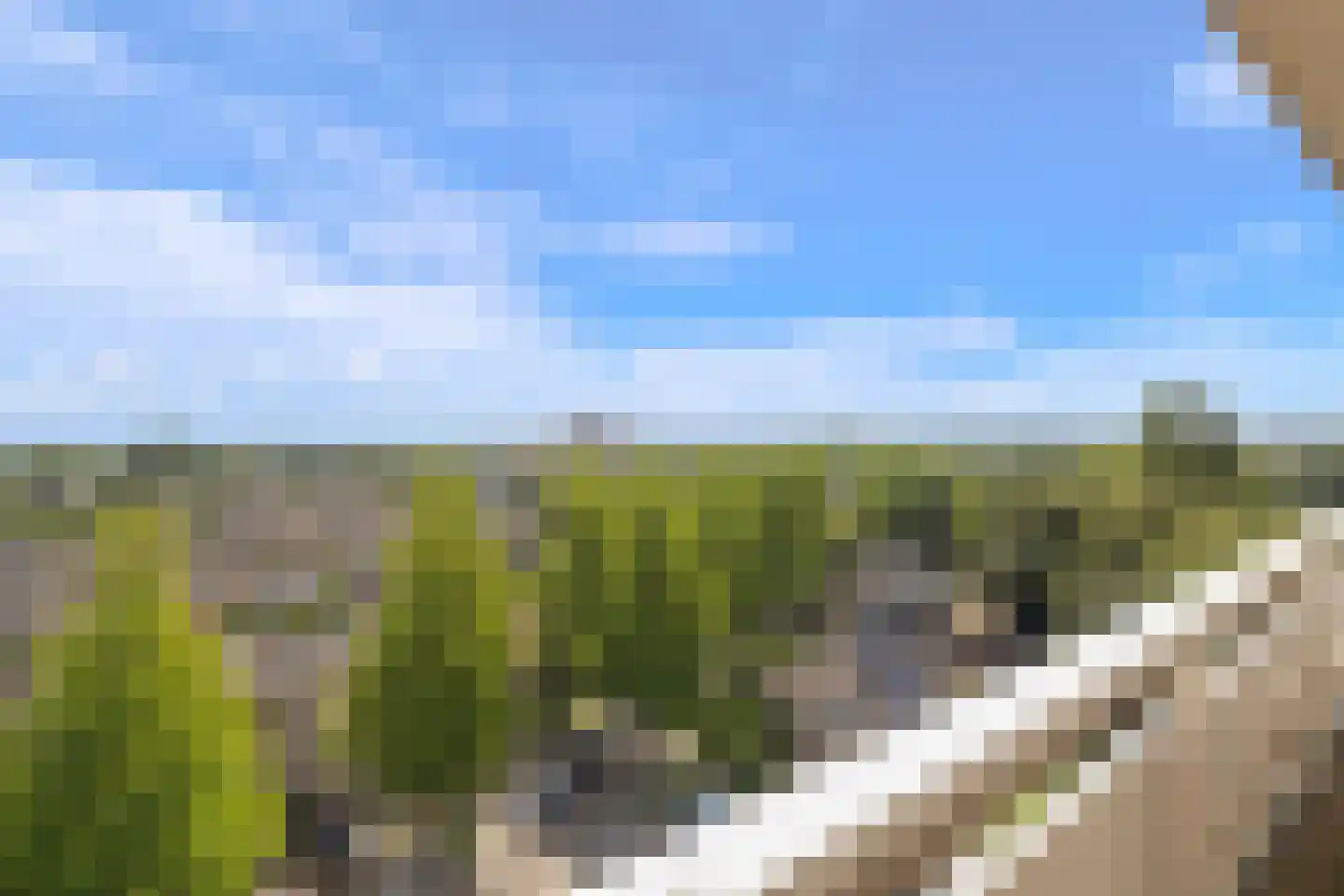 de Koppele 357 Eindhoven thumbnail 40
