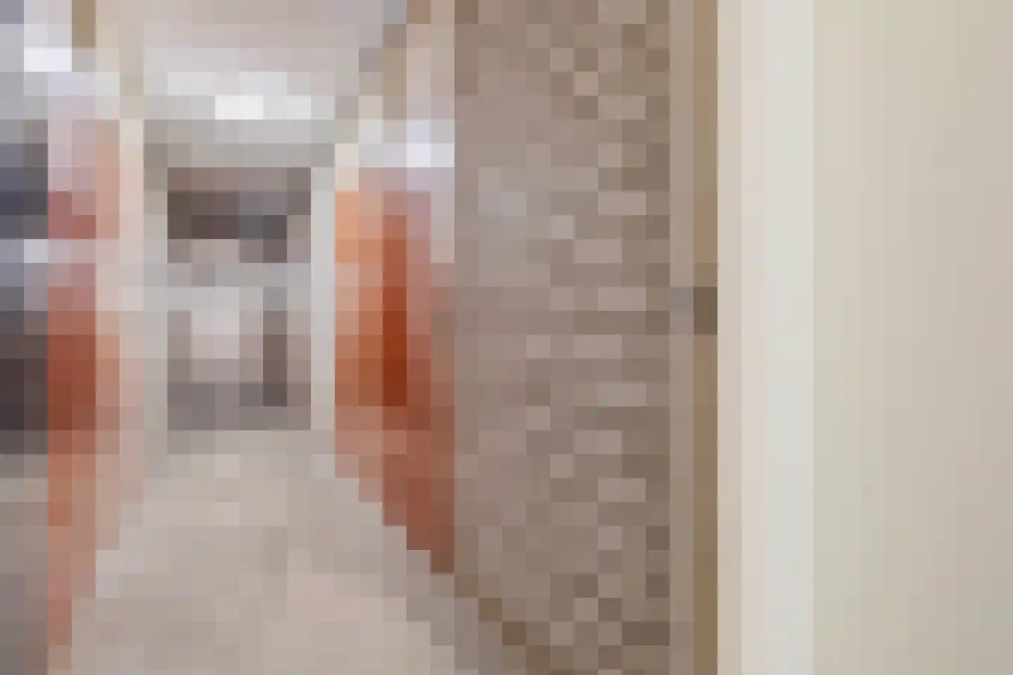 de Koppele 357 Eindhoven thumbnail 41