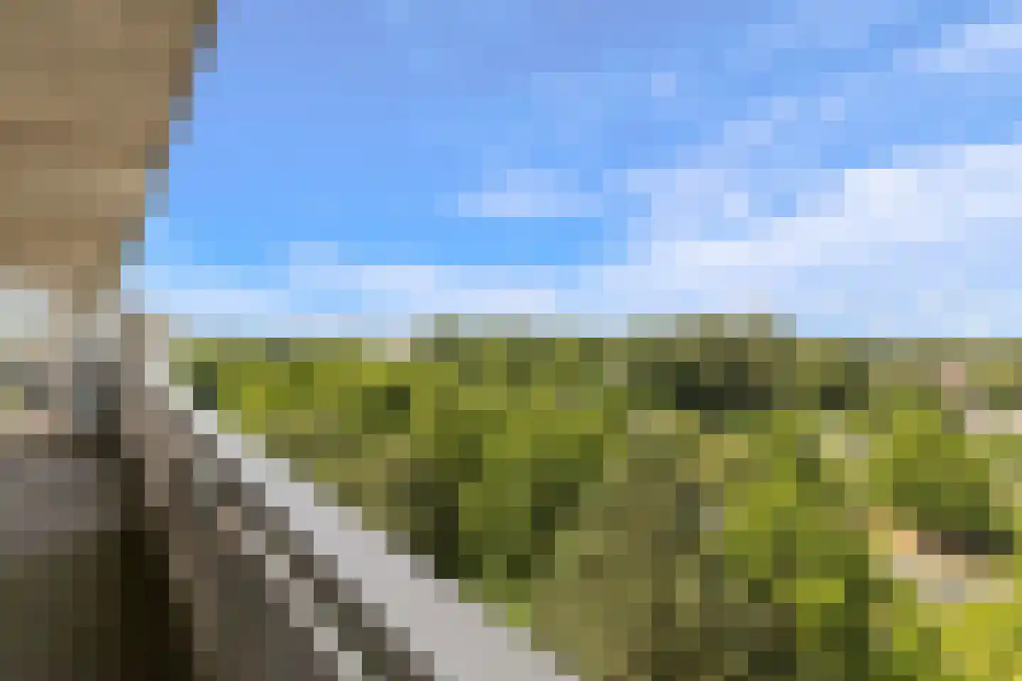 de Koppele 357 Eindhoven thumbnail 5
