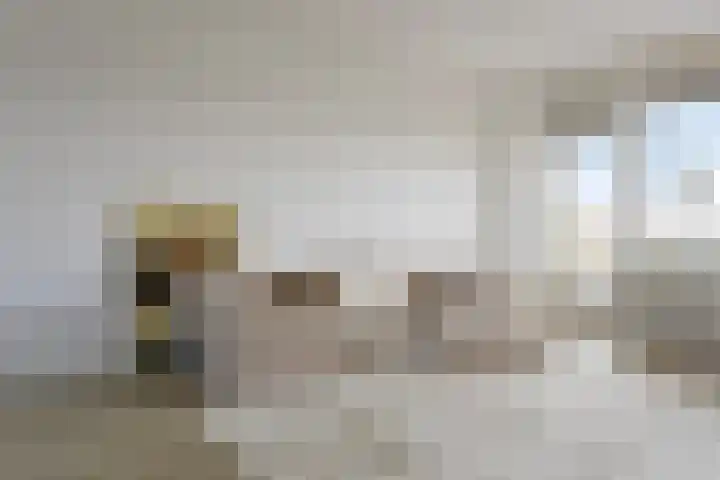 de Koppele 365 Eindhoven thumbnail 13
