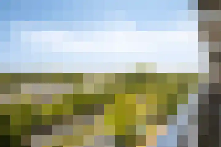 de Koppele 365 Eindhoven thumbnail 30
