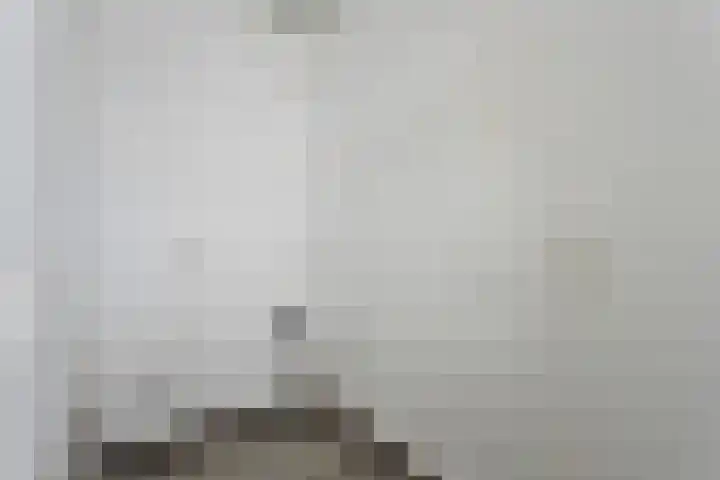 de Koppele 365 Eindhoven thumbnail 32