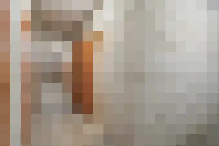 de Koppele 365 Eindhoven thumbnail 33