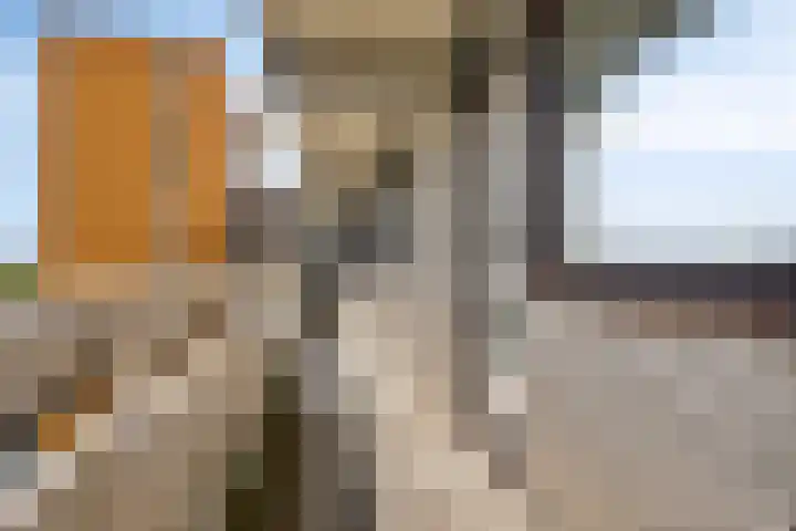 de Koppele 365 Eindhoven thumbnail 35