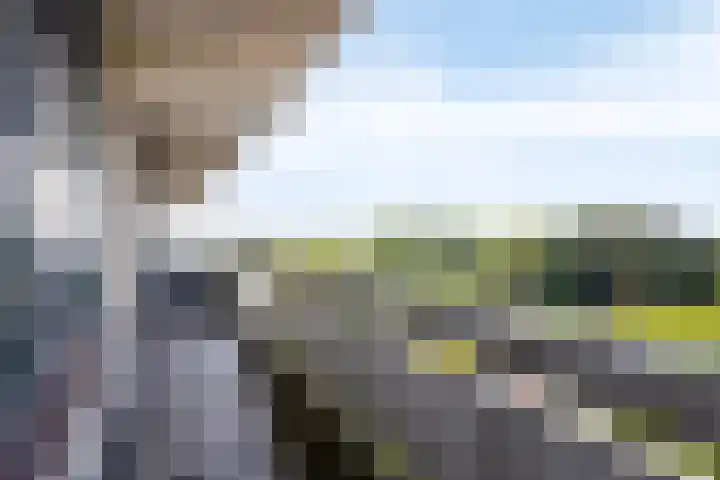 de Koppele 365 Eindhoven thumbnail 5