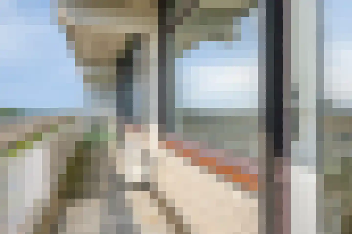 de Koppele 379 Eindhoven thumbnail 5