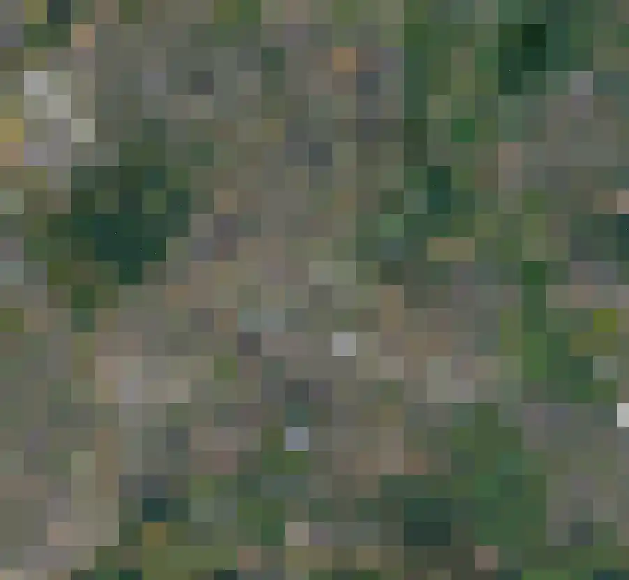 de Koppele 385 Eindhoven thumbnail 6