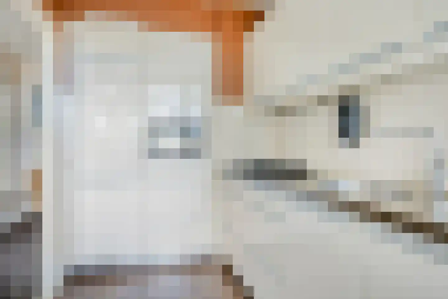 de Koppele 403 Eindhoven thumbnail 14