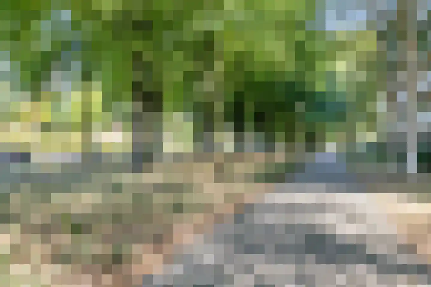 de Koppele 403 Eindhoven thumbnail 26