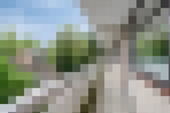 de Koppele 421 Eindhoven thumbnail 14