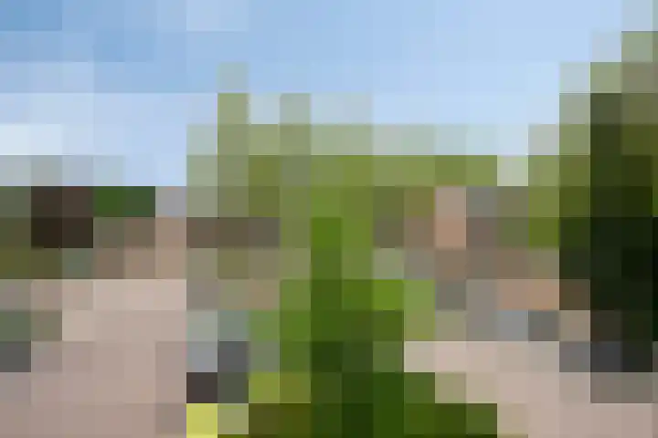 de Koppele 421 Eindhoven thumbnail 16