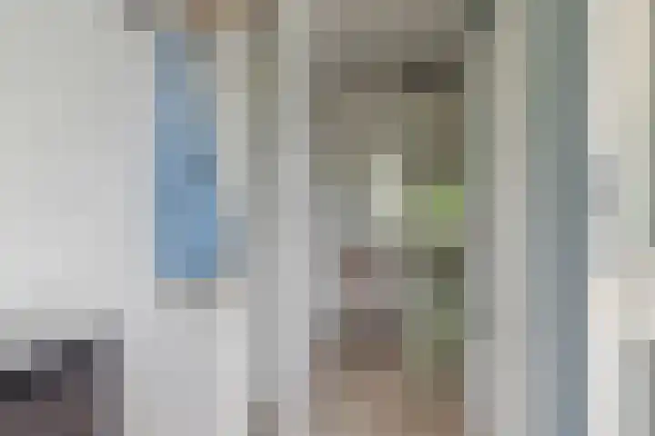 de Koppele 421 Eindhoven thumbnail 17