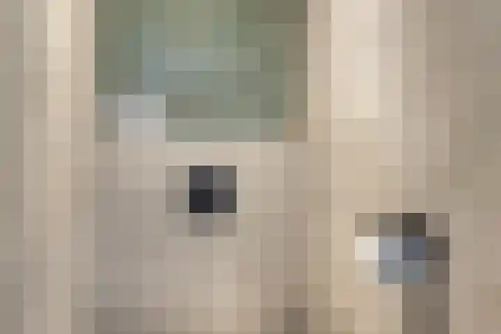 de Koppele 421 Eindhoven thumbnail 18