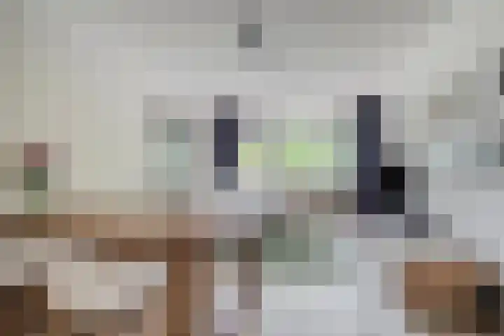 de Koppele 421 Eindhoven thumbnail 20