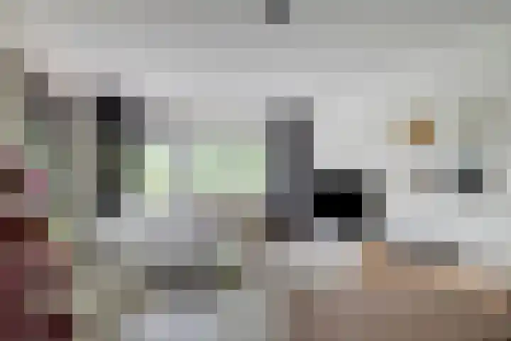 de Koppele 421 Eindhoven thumbnail 21