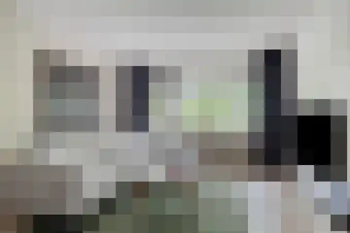 de Koppele 421 Eindhoven thumbnail 22