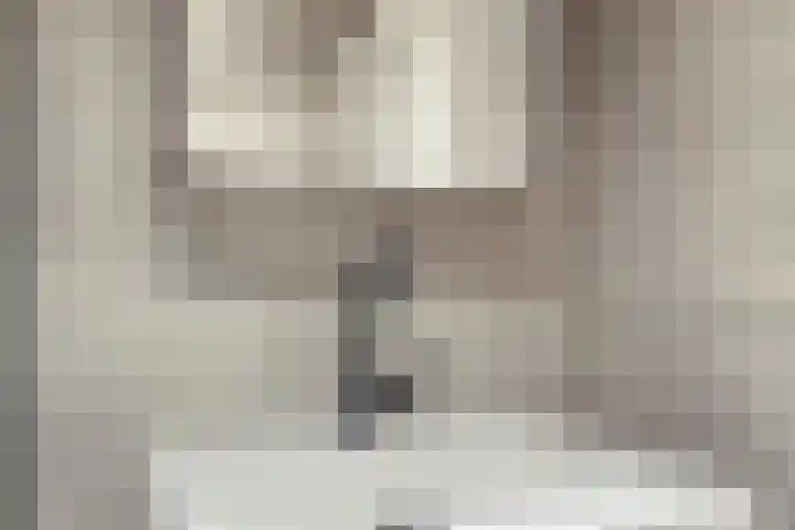 de Koppele 421 Eindhoven thumbnail 30