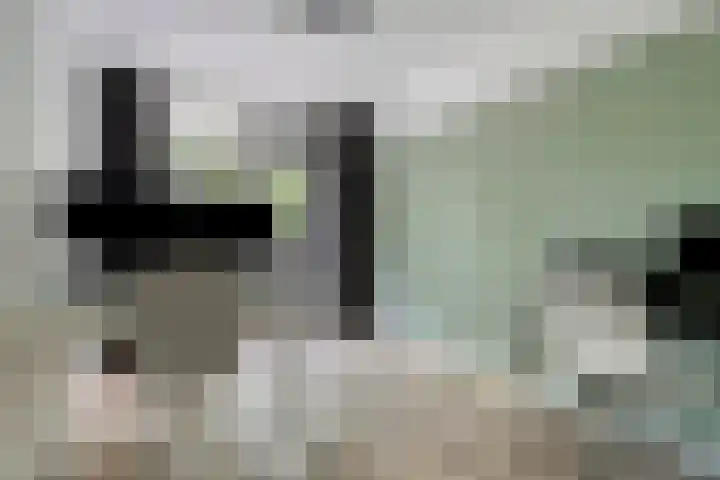 de Koppele 421 Eindhoven thumbnail 32