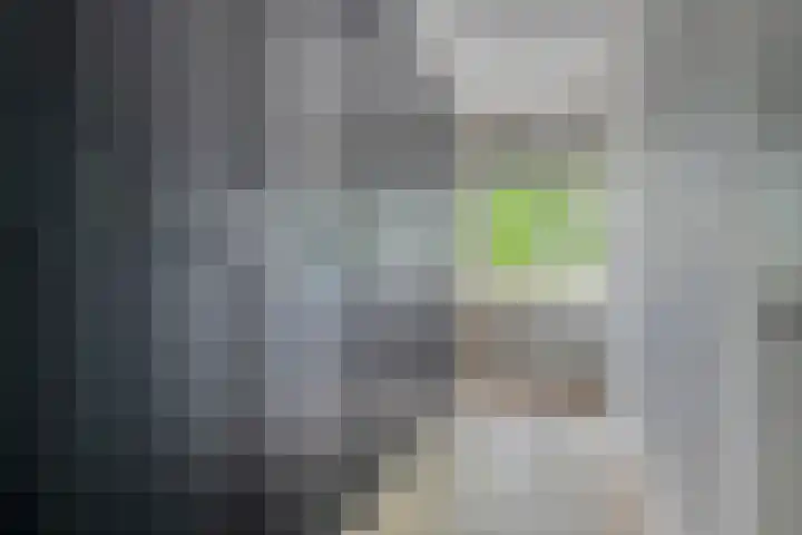 de Koppele 421 Eindhoven thumbnail 34