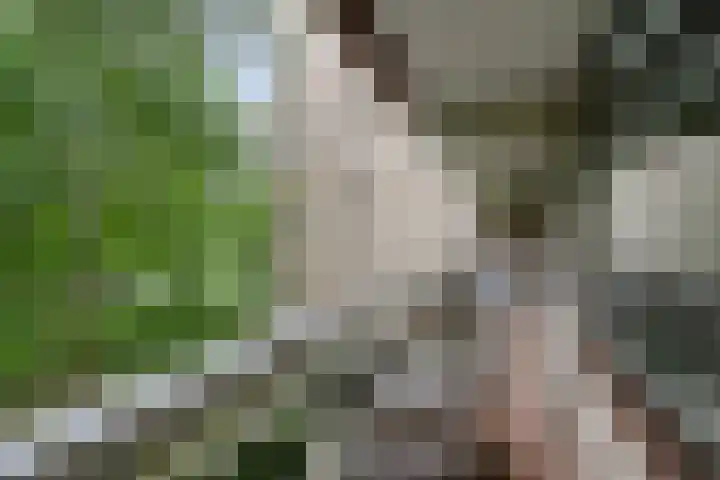 de Koppele 421 Eindhoven thumbnail 35
