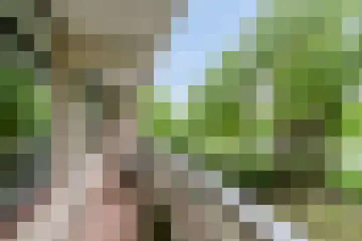de Koppele 421 Eindhoven thumbnail 36