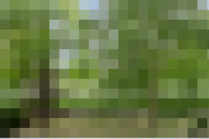 de Koppele 421 Eindhoven thumbnail 38