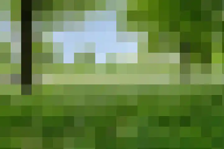 de Koppele 421 Eindhoven thumbnail 39