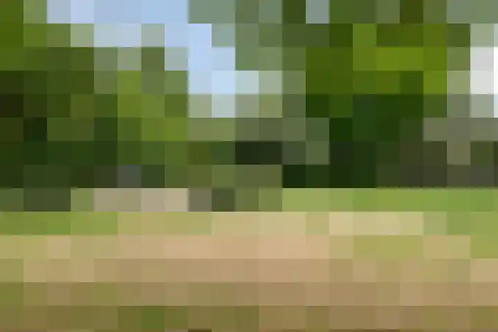 de Koppele 421 Eindhoven thumbnail 40