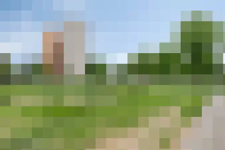 de Koppele 421 Eindhoven thumbnail 41