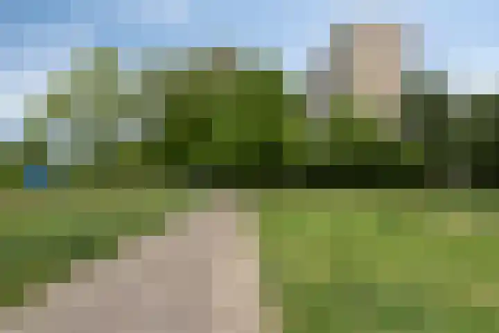 de Koppele 421 Eindhoven thumbnail 42