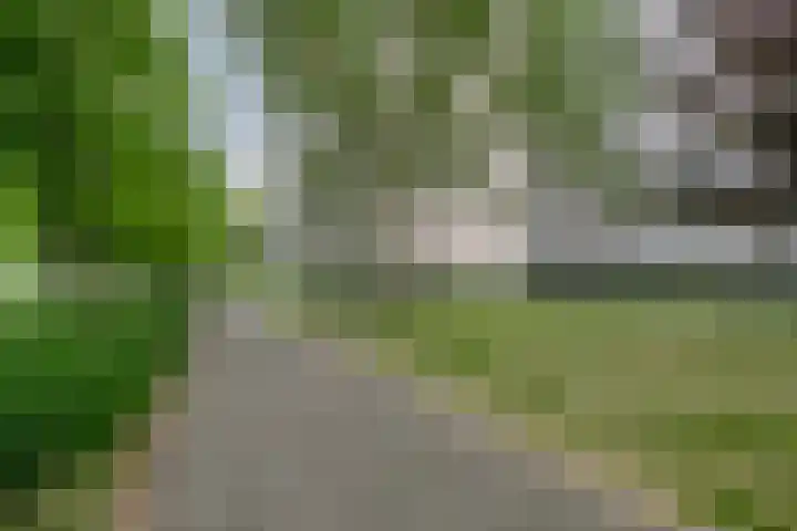 de Koppele 421 Eindhoven thumbnail 43