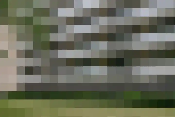 de Koppele 421 Eindhoven thumbnail 44