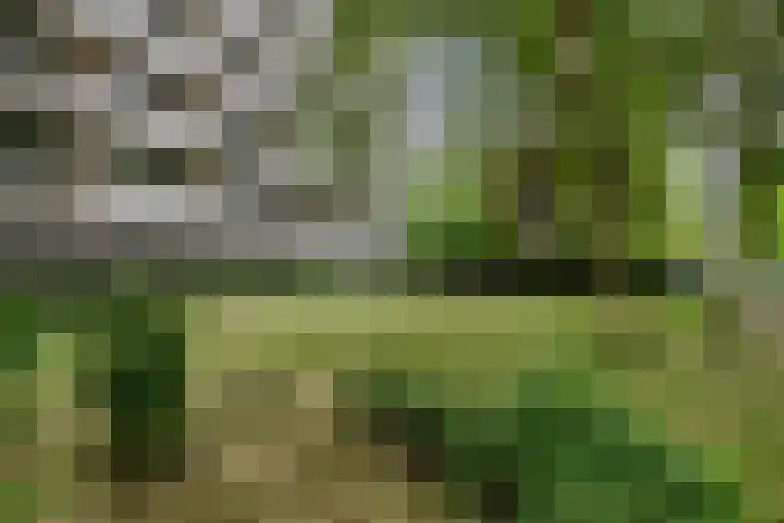 de Koppele 421 Eindhoven thumbnail 45