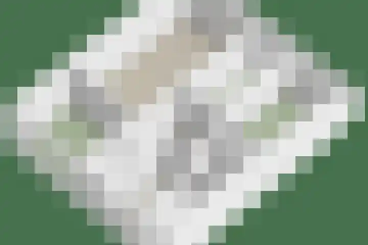 de Koppele 421 Eindhoven thumbnail 48
