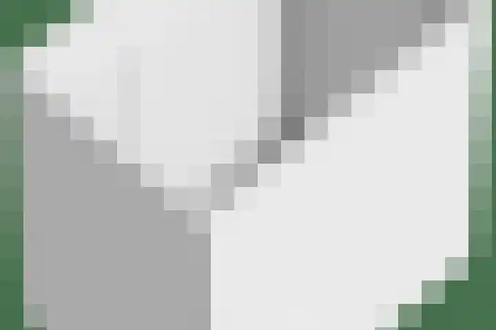 de Koppele 421 Eindhoven thumbnail 49
