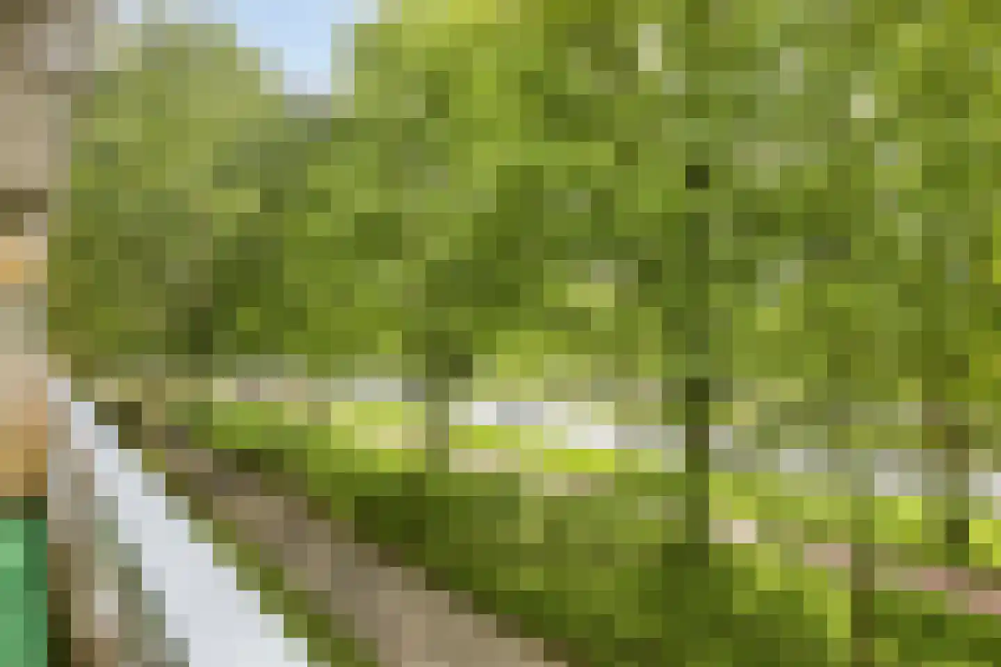 de Koppele 429 Eindhoven thumbnail 12