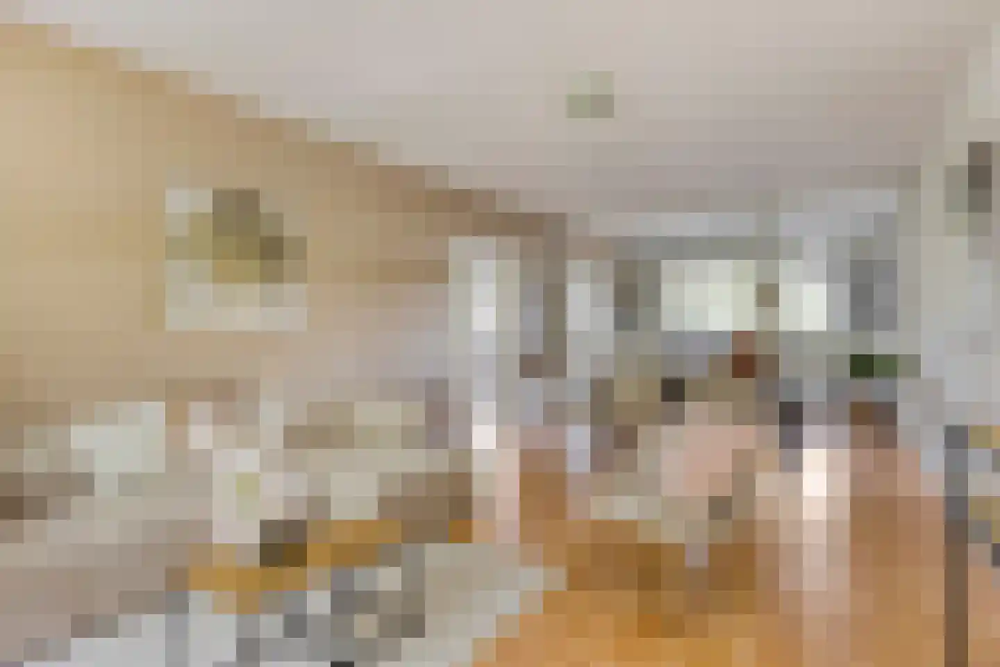 de Koppele 429 Eindhoven thumbnail 14