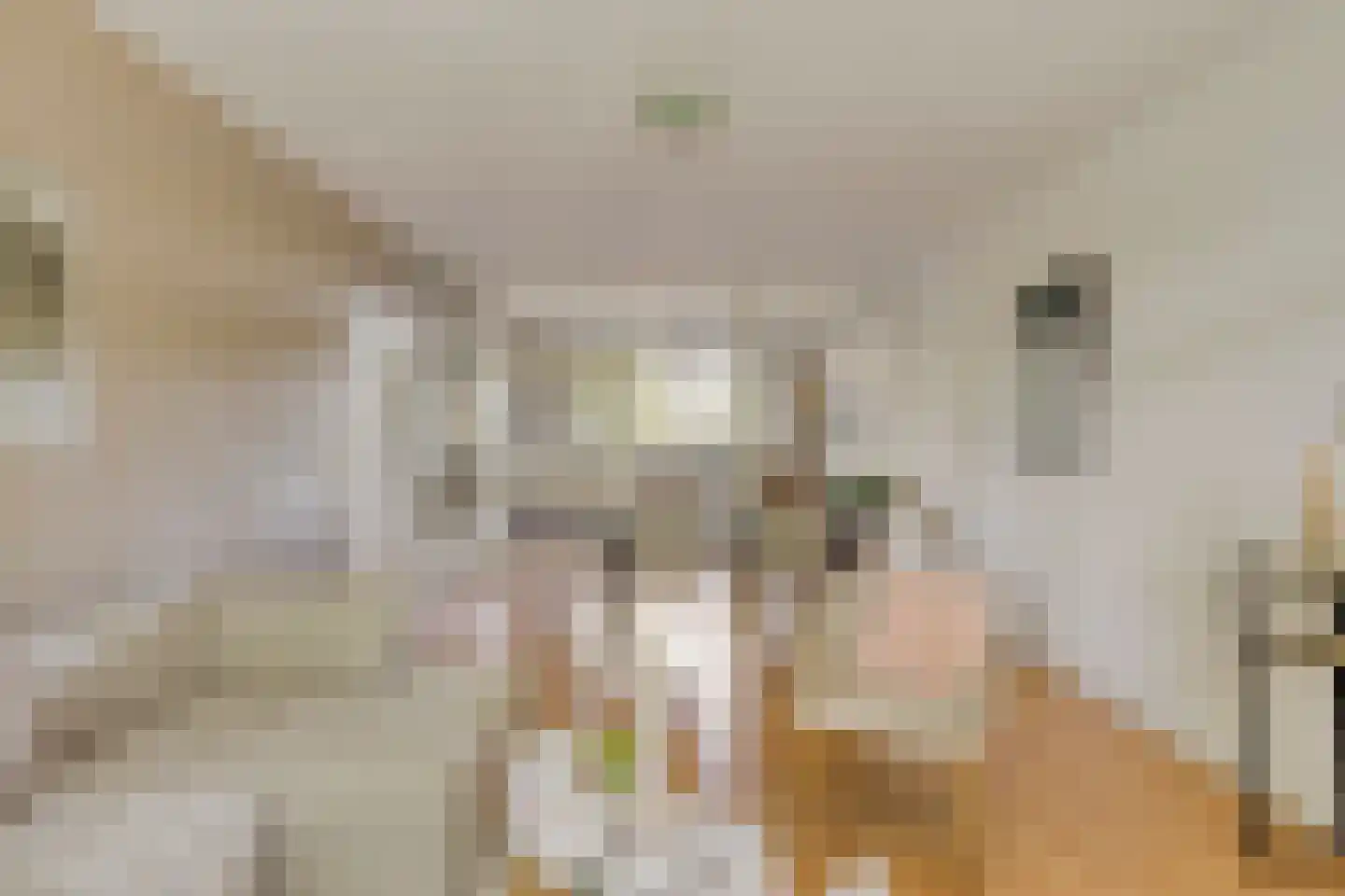 de Koppele 429 Eindhoven thumbnail 15