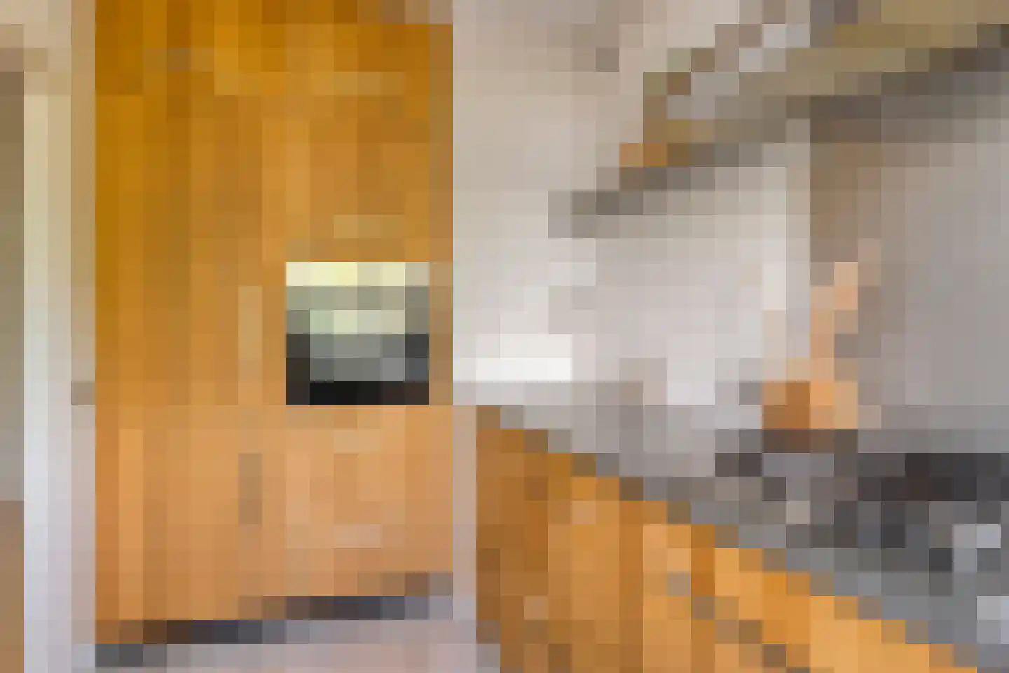 de Koppele 429 Eindhoven thumbnail 25