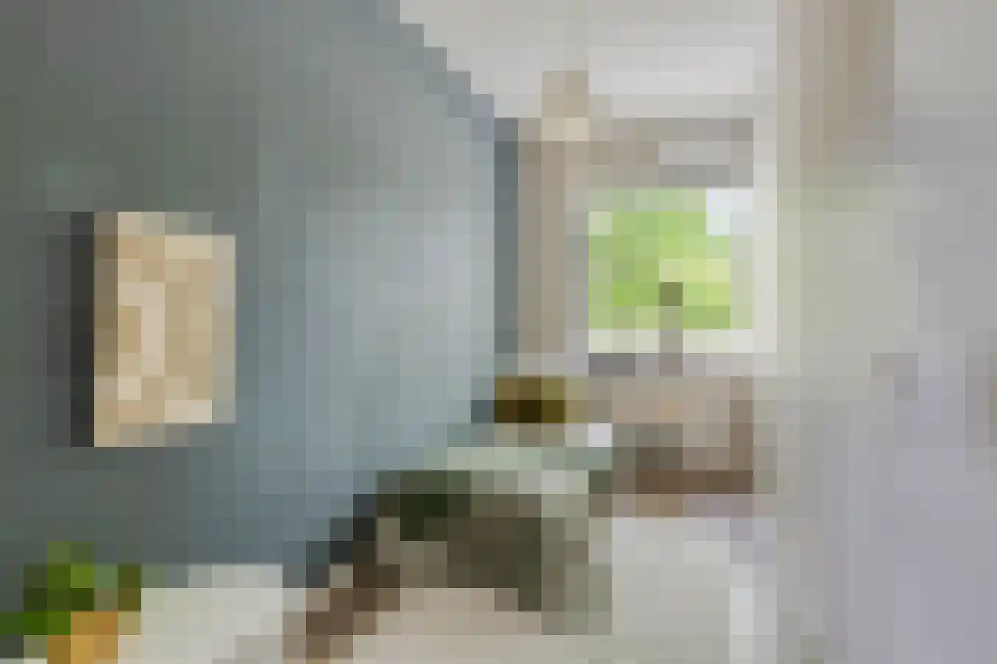 de Koppele 429 Eindhoven thumbnail 29
