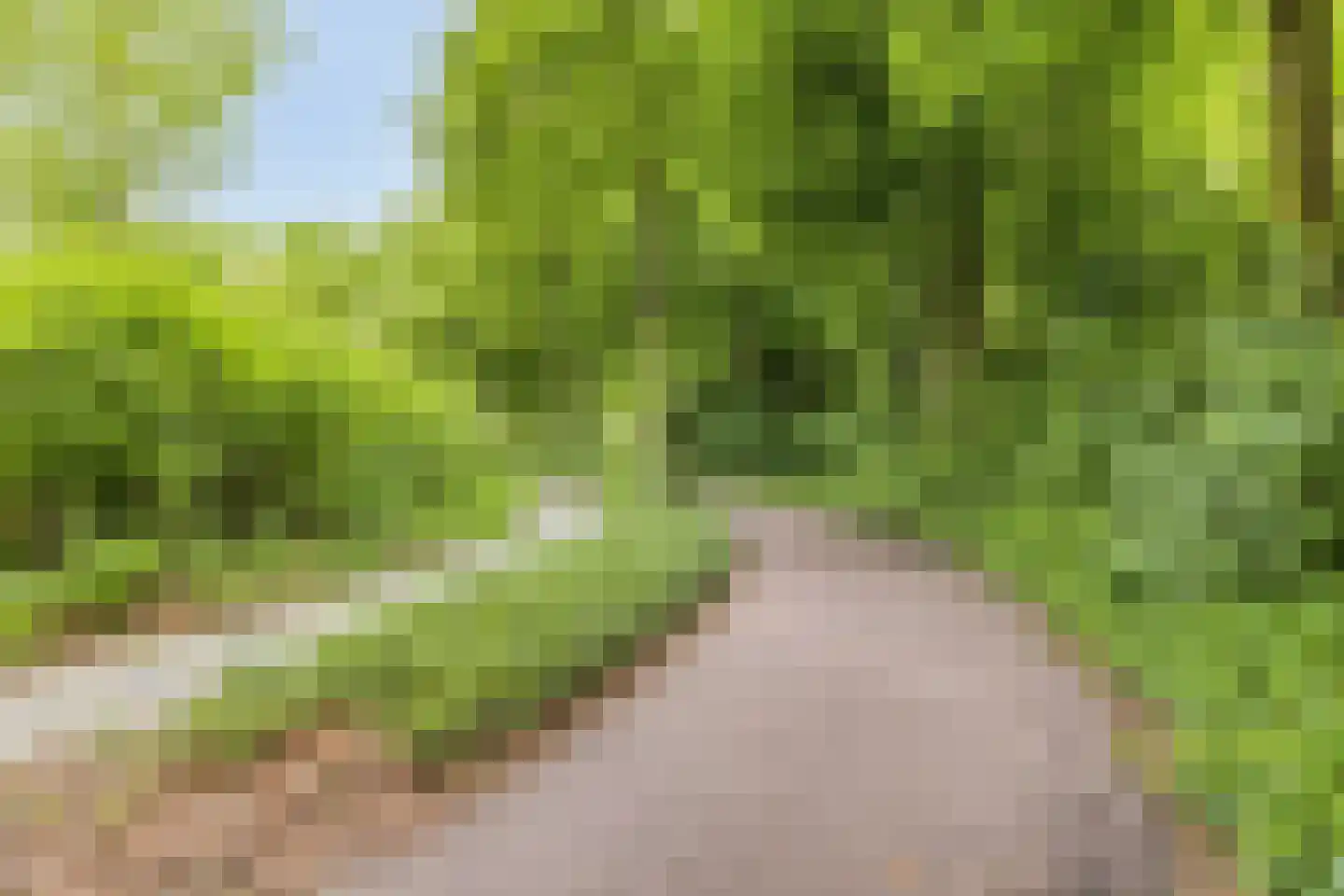 de Koppele 429 Eindhoven thumbnail 35