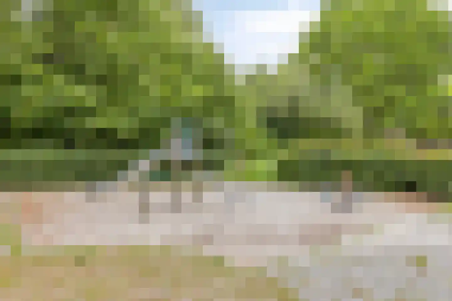 de Koppele 429 Eindhoven thumbnail 36