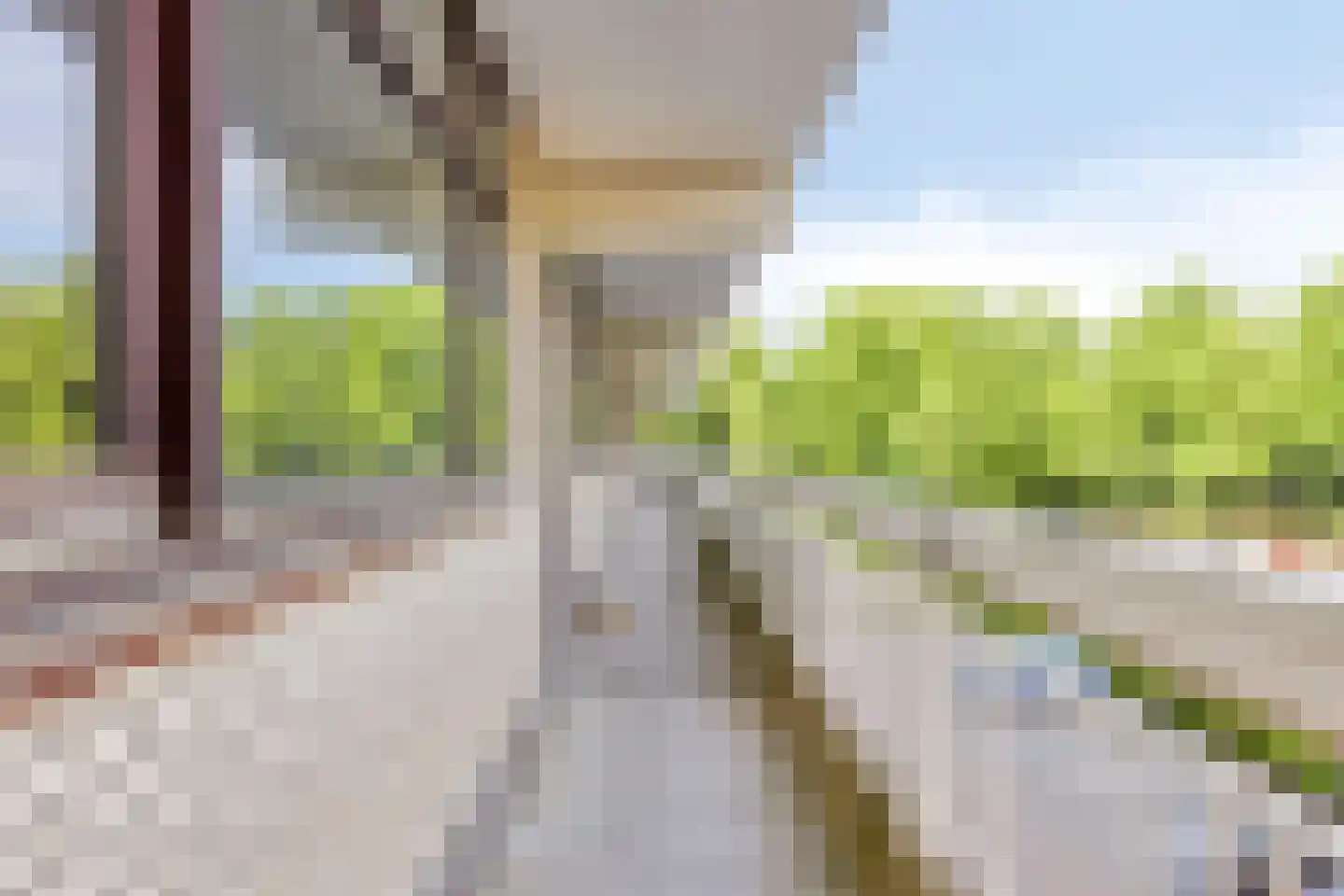 de Koppele 429 Eindhoven thumbnail 7