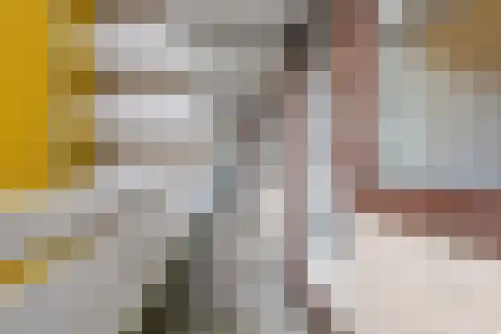 de Koppele 445 Eindhoven thumbnail 11