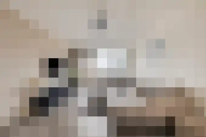 de Koppele 445 Eindhoven thumbnail 16