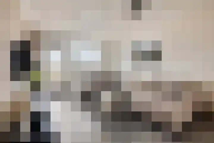 de Koppele 445 Eindhoven thumbnail 17